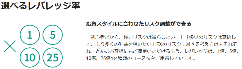 松井証券のレバレッジ